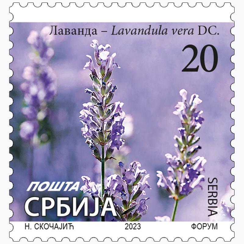 2023 Лаванда - Lavandula vera DC. редовна поштанска марка