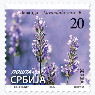 2025 Лаванда - Lavandula vera DC редовна поштанска марка