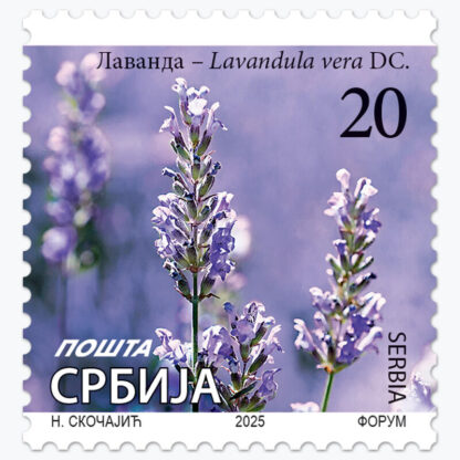 2025 Лаванда - Lavandula vera DC редовна поштанска марка