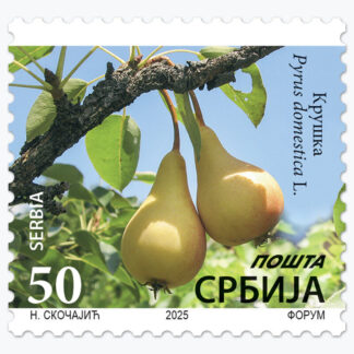 2025 Крушка, Pyrus domestica L. редовна поштанска марка