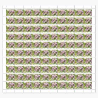 863743-Т Дебела кока 2025 редовна поштанска марка