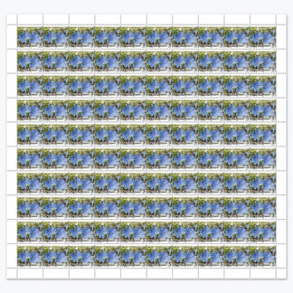 2026 Водоија табак