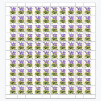 Редовна марка Наталија рамонда 2026 табак